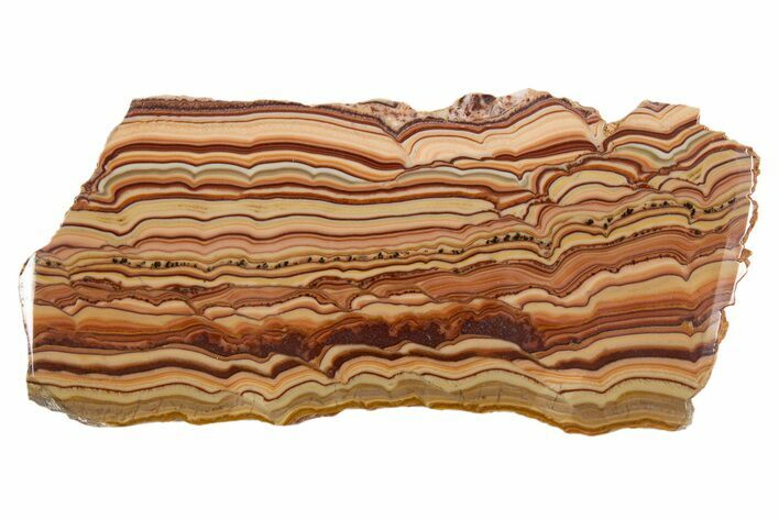 Polished Slab Of Rolling Hills Dolomite - Mexico #324330